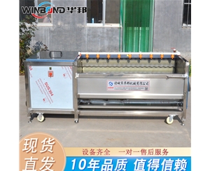 淮山藥去皮清洗機(jī) 山藥清洗機(jī)廠(chǎng)家 華邦機(jī)械