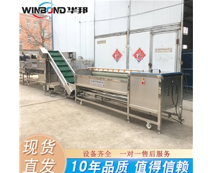連續(xù)式土豆去皮機(jī) 不銹鋼土豆清洗機(jī) 現(xiàn)貨銷(xiāo)售