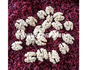 脫皮去澀核桃仁去衣機 直銷去皮機 華邦推薦