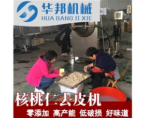 大型核桃仁去皮機 核桃仁去衣清洗機 優(yōu)惠供應(yīng)