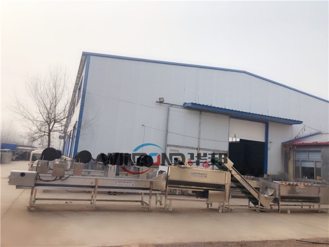 2020【洗薯機(jī)價(jià)格】華邦報(bào)價(jià) 全自動(dòng)紫薯清洗機(jī)