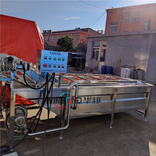 杏鮑菇清洗機(jī) 全自動(dòng)菌類(lèi)清洗生產(chǎn)線