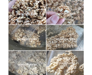 自動導(dǎo)料核桃仁脫衣機 核桃仁深加工設(shè)備 可試機